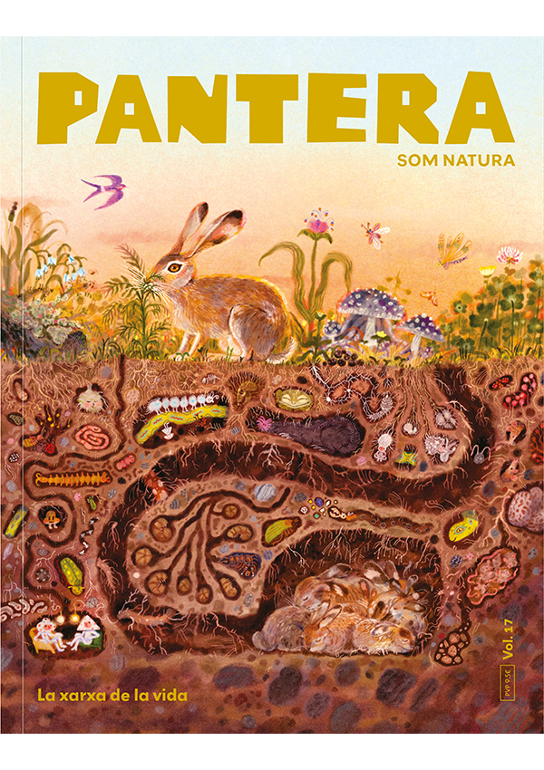 Pantera